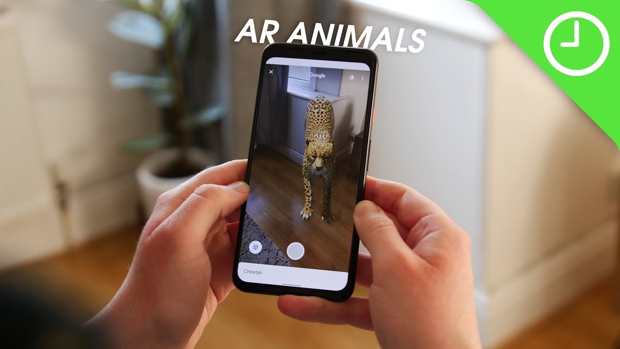 How to View Google 3D Animals in Your Mobile \ AR Feature 