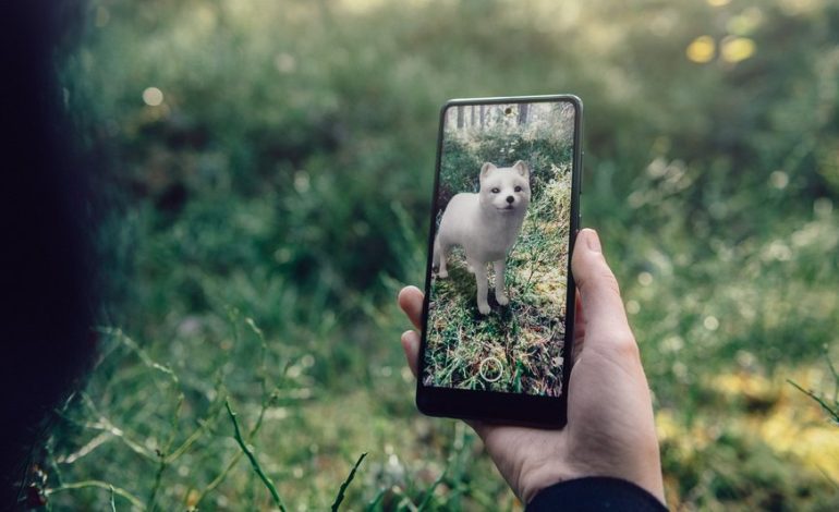 How Is Augmented Reality Wildlife Protected?