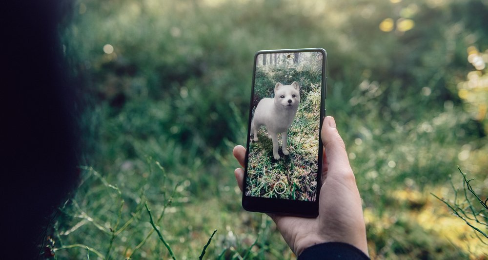 How Is Augmented Reality Wildlife Protected?